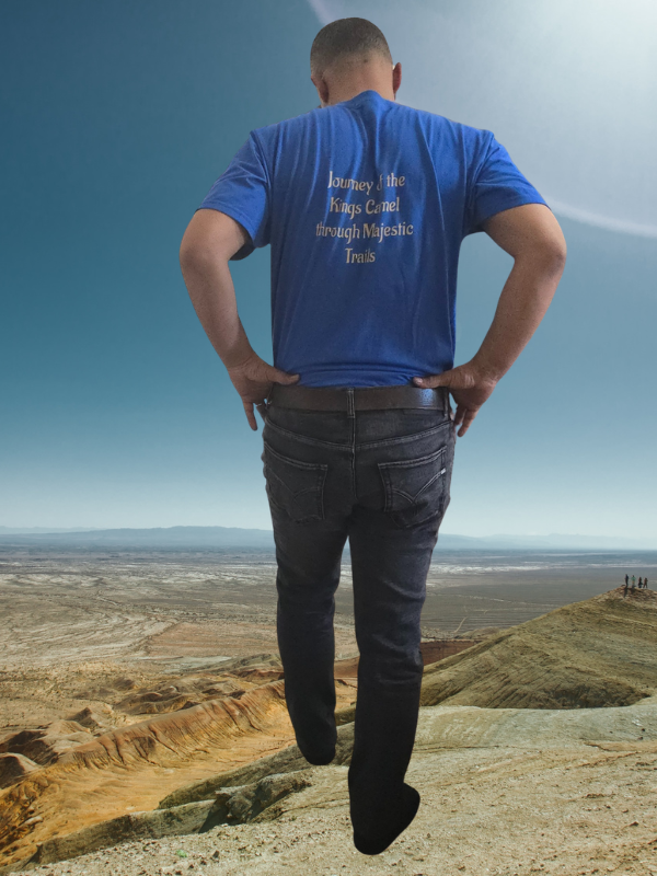 The King's Camel Blue Cotton T'shirt - Image 3